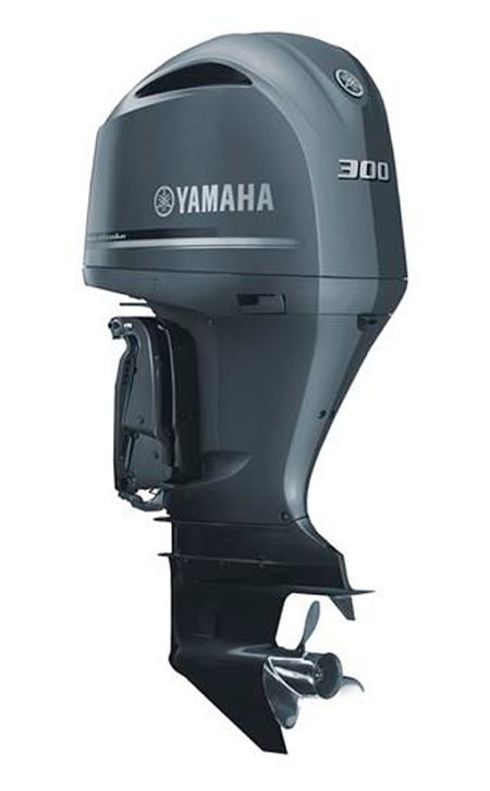 Yamaha FL 300 BETX