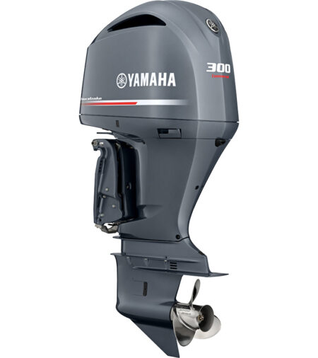 Yamaha FL 300 DETX